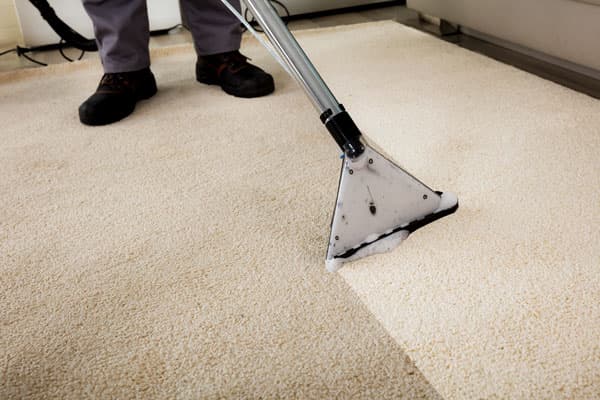 Carpet Cleaning